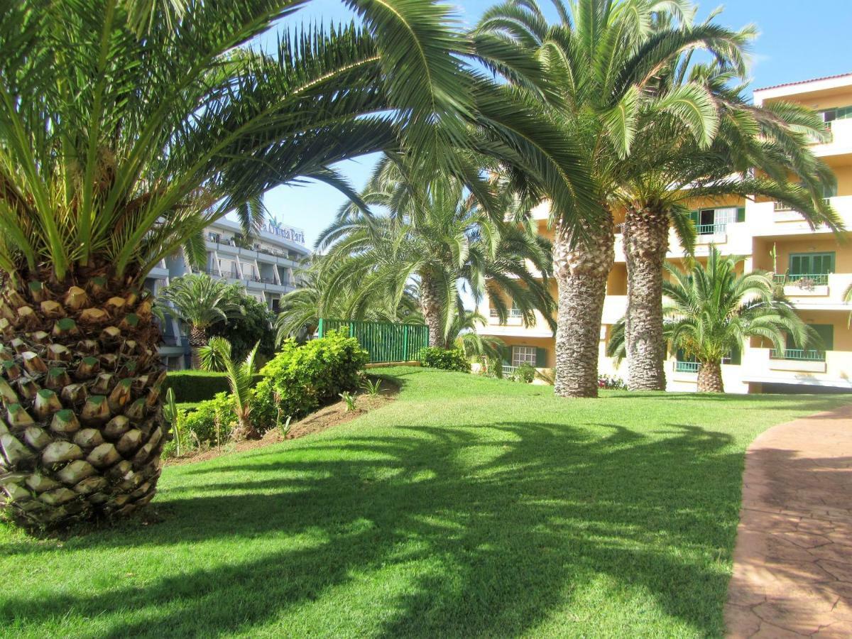 Apartament Terraza Vista Oceano La Quinta Santa Úrsula Zewnętrze zdjęcie